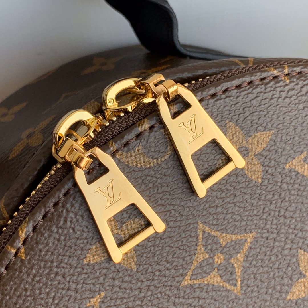 l**is V*t*n monogram backpack gm