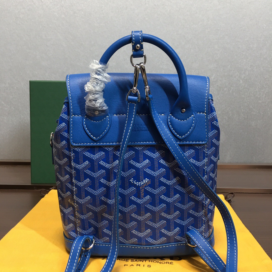 Go*ard backpack