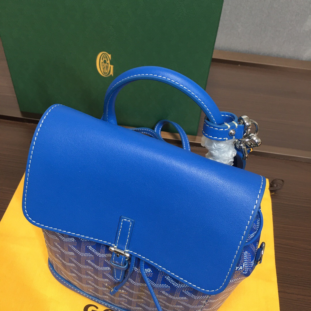 Go*ard backpack