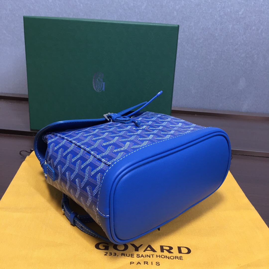 Go*ard backpack