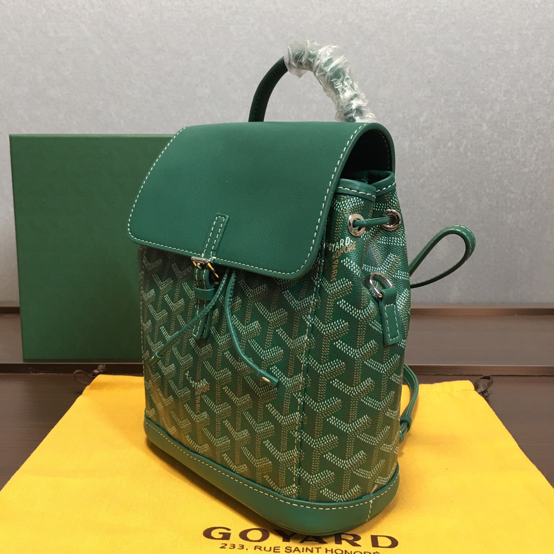 Go*ard backpack