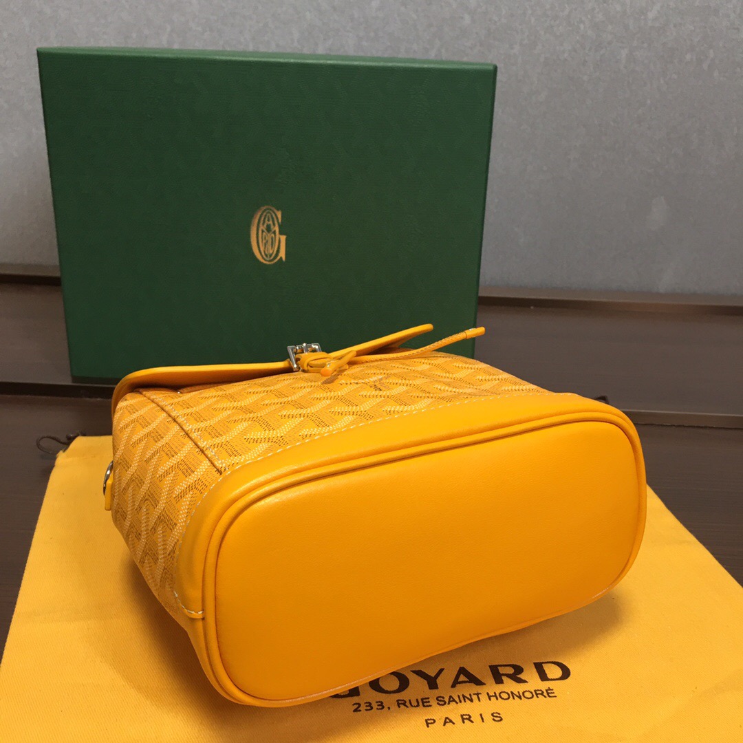 Go*ard backpack