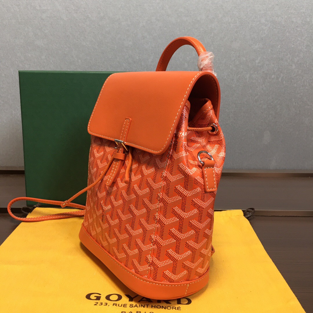 Go*ard backpack