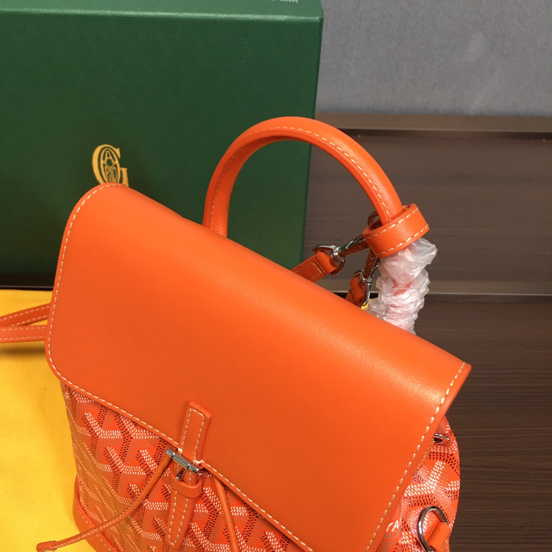 Go*ard backpack