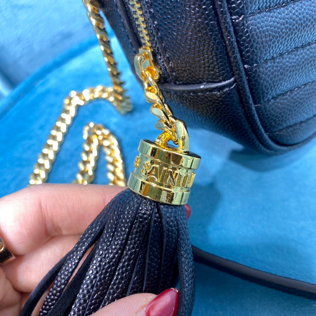YSL Camera Bag