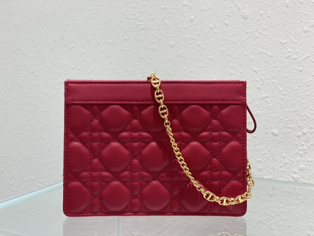 D*or caro zipped pouch with chain