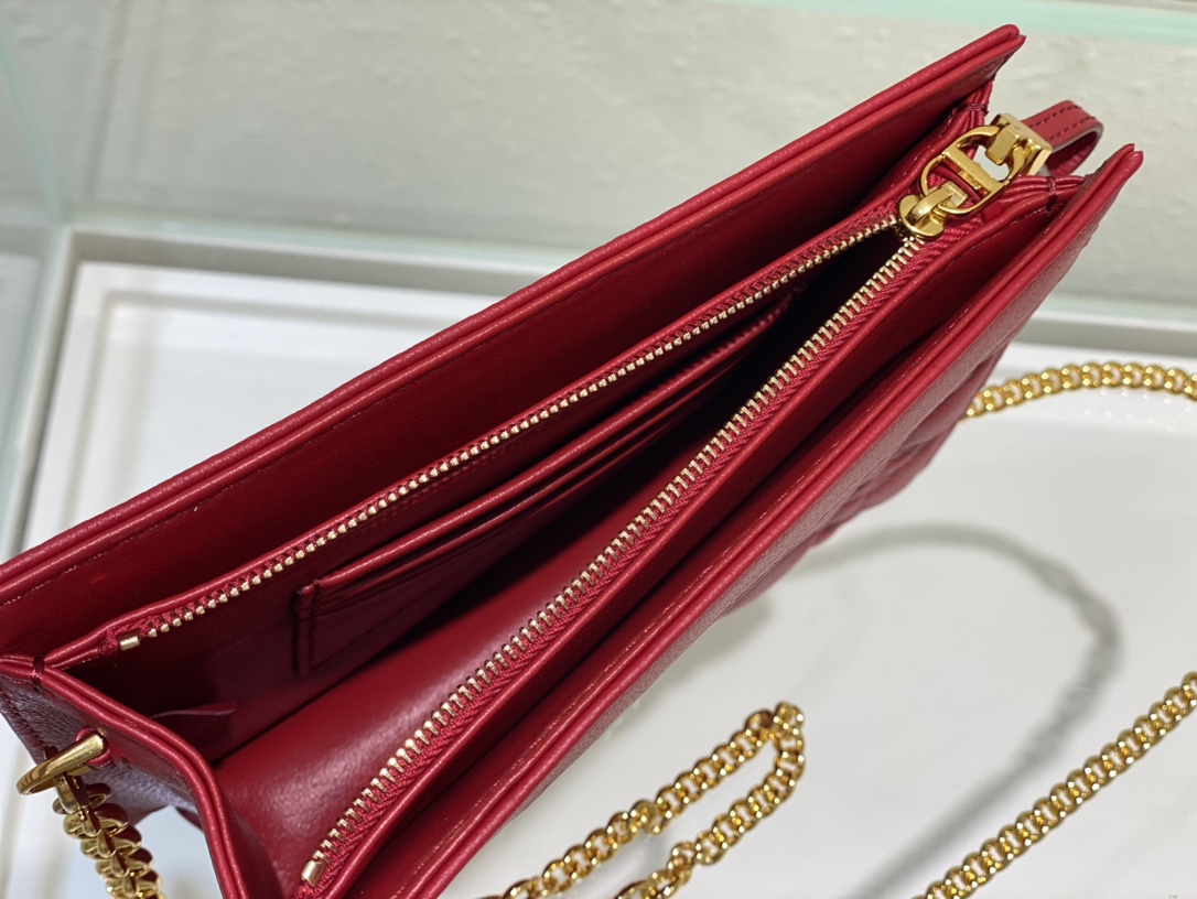 D*or caro zipped pouch with chain