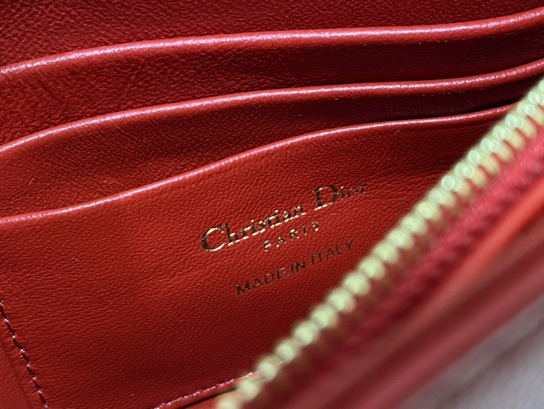 D*or caro zipped pouch with chain