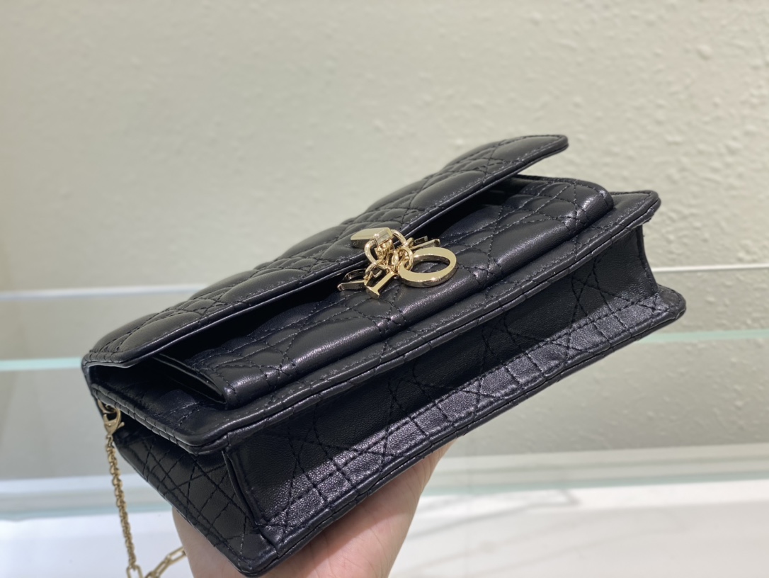 lady D*or chain pouch