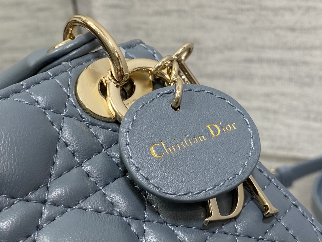 lady D*or micro bag