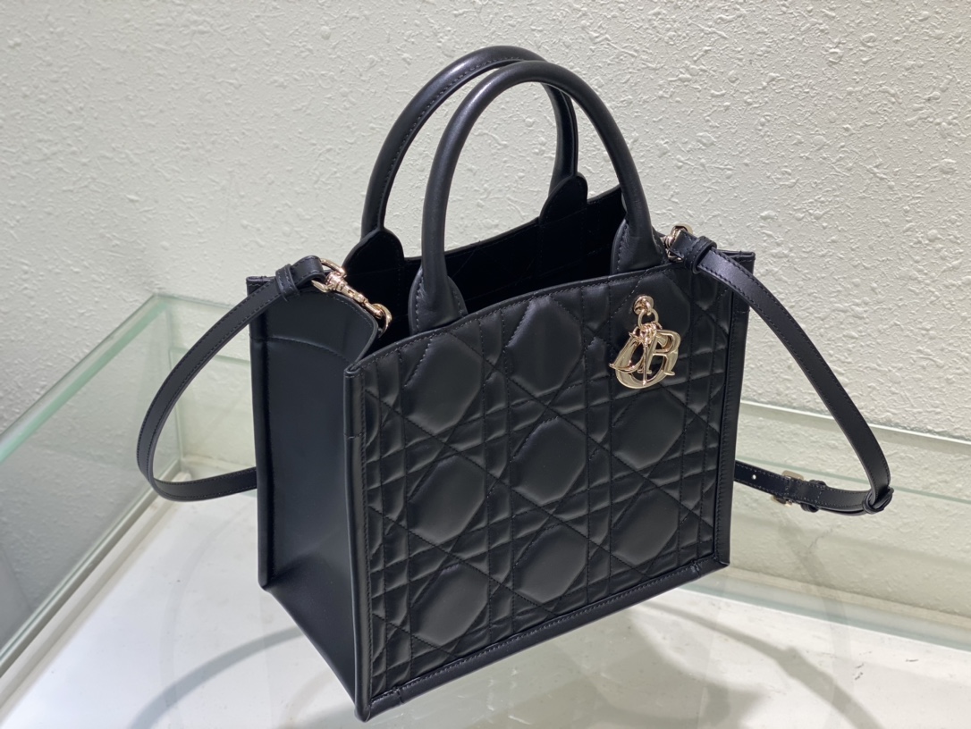 small D*or book tote