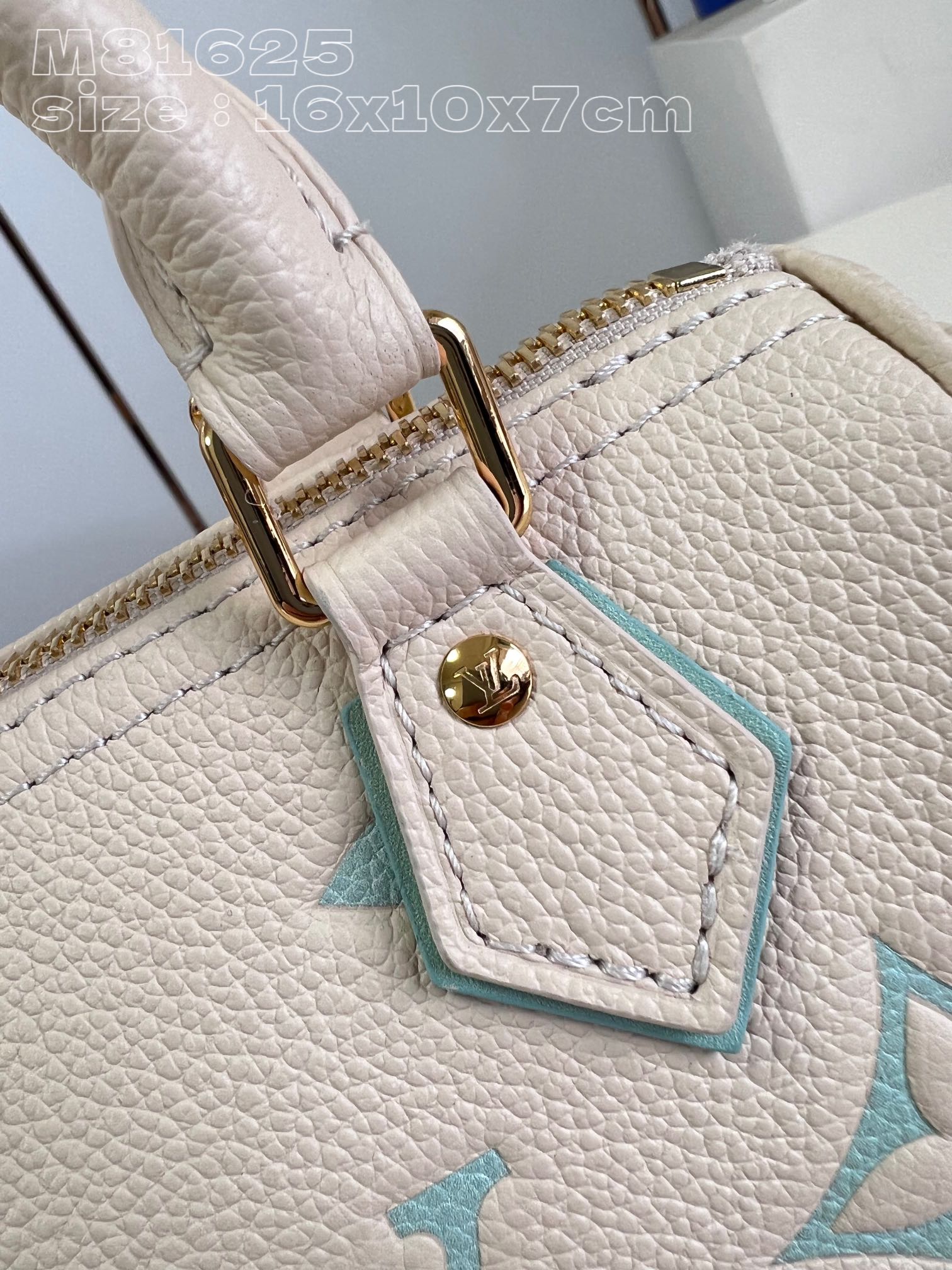 l**is V*t*n nano speedy handbag