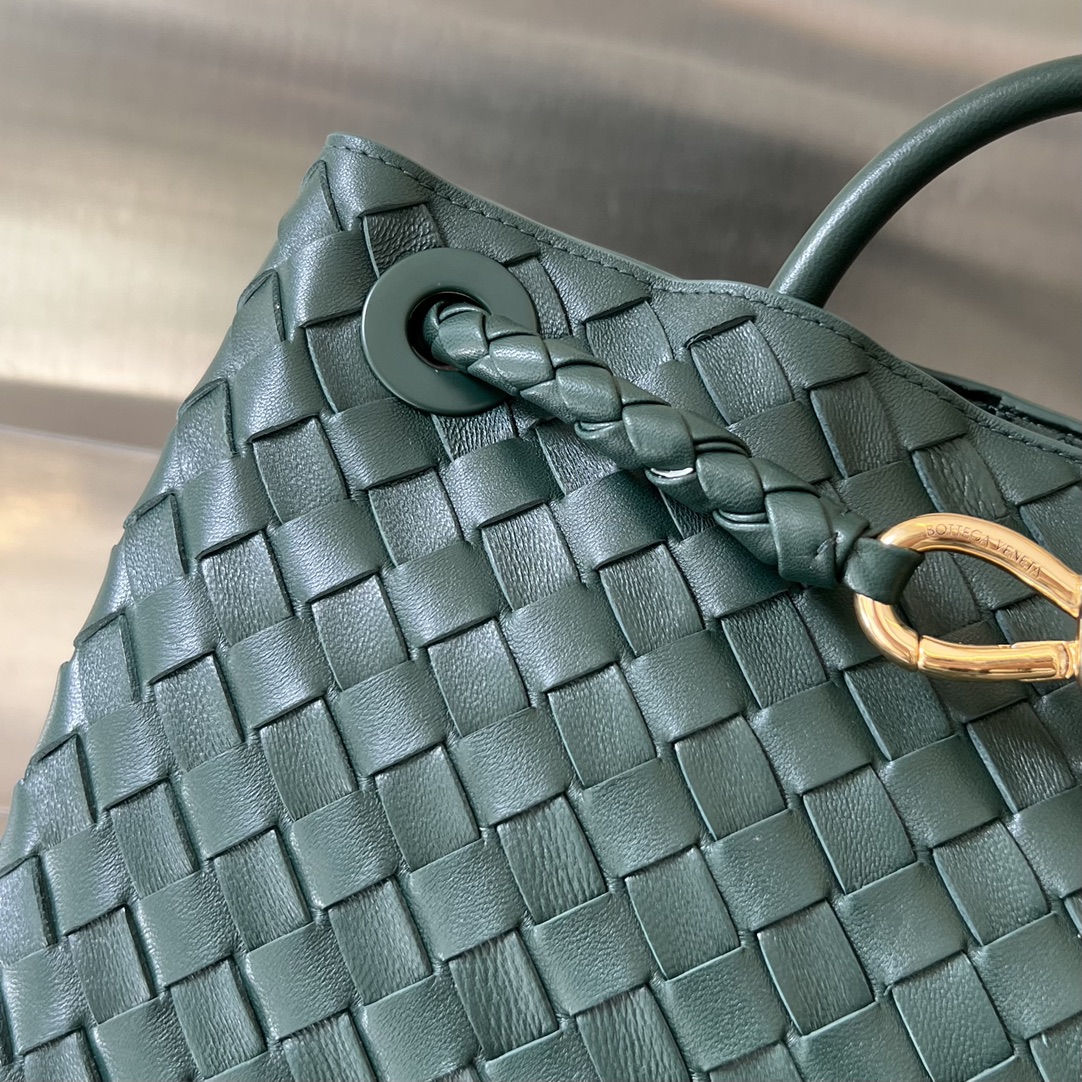 bo*te*ga Ve*ne*ta medium andiamo bag